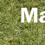 cropped-Headerbild1.jpg
