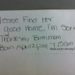 safe haven note